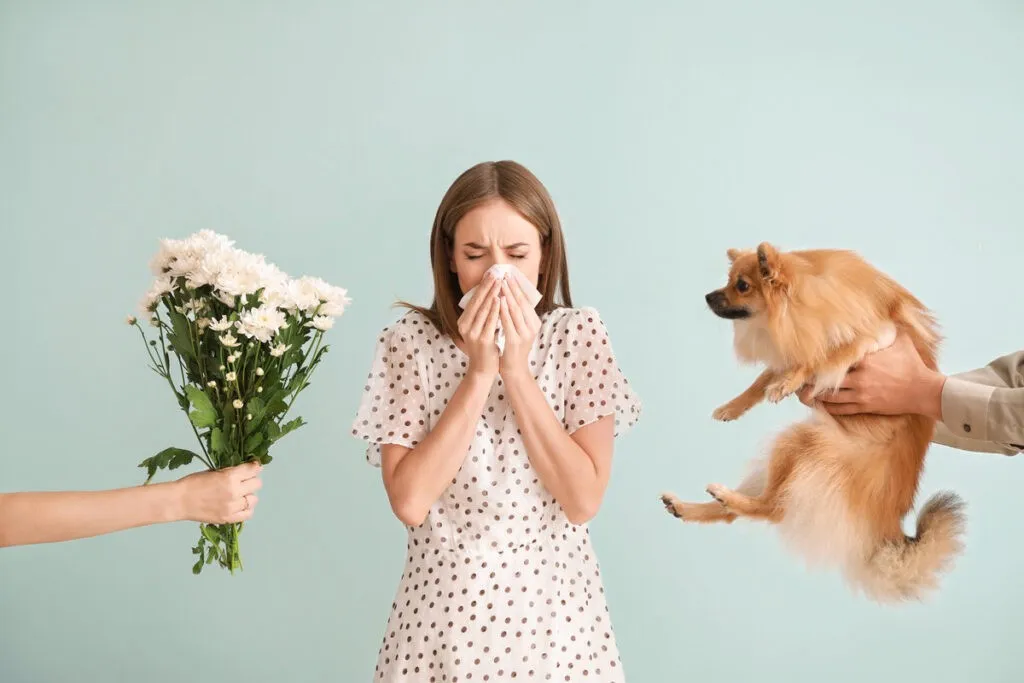 A woman in a polka dot dress sneezes. On the left, a hand offers white flowers; on the right, a person holds a small dog. The scene suggests allergies.